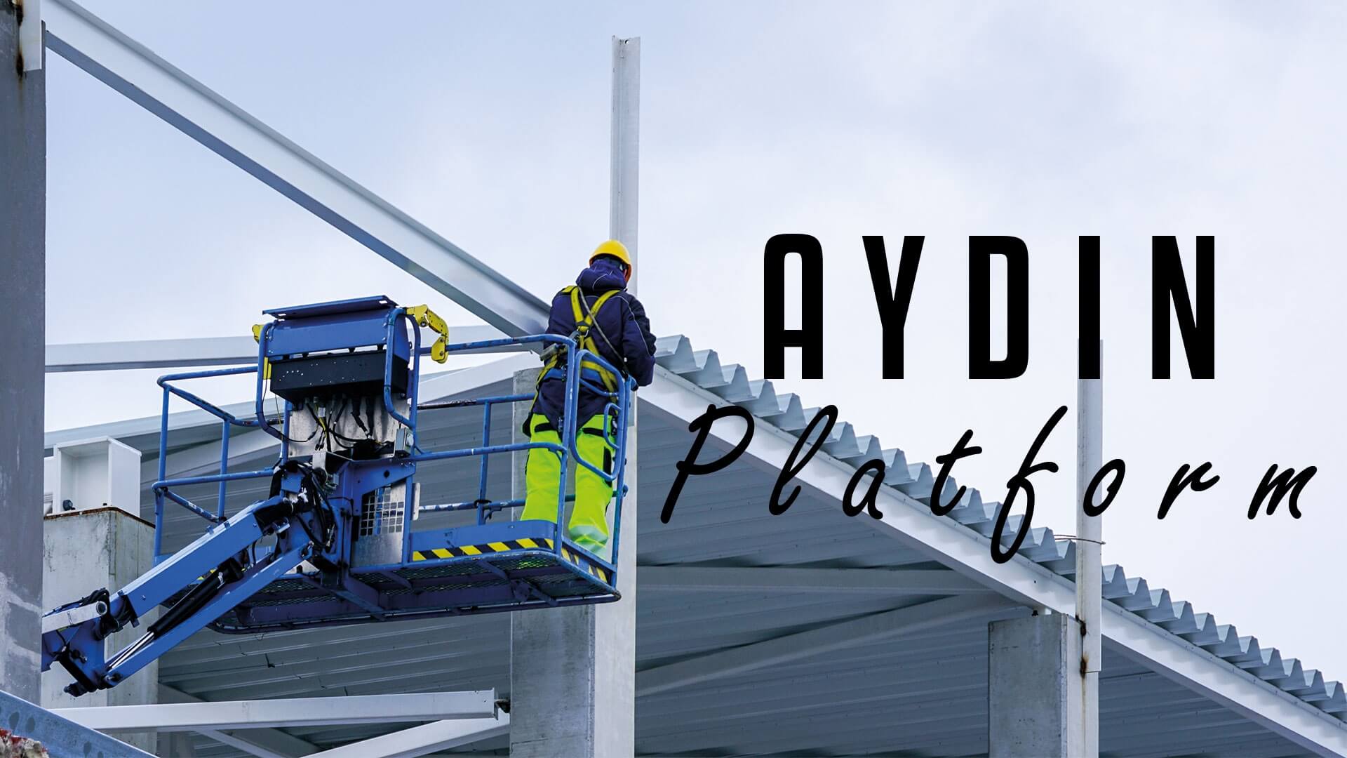 AYDIN PLATFORM